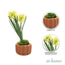 Haven and Harlow Decorative Plant