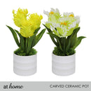 Halsey/Hassan/Heath Decorative Plant