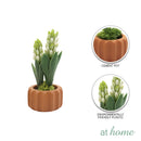 Haven and Harlow Decorative Plant