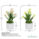 Halsey/Hassan/Heath Decorative Plant