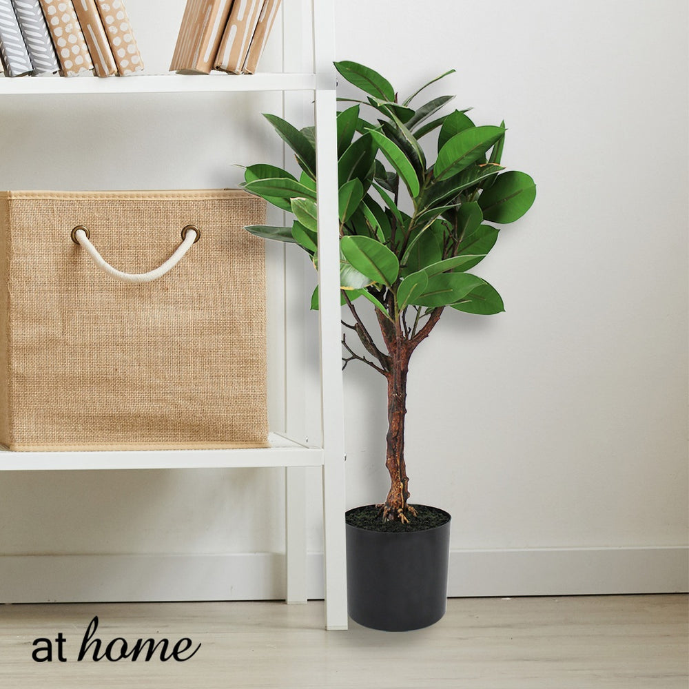 rubber tree ph Chad or Cordelia Artificial Rubber Tree Potted Plant