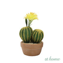 Hallie and Harper Hyacinth or Cactus Artificial Plant