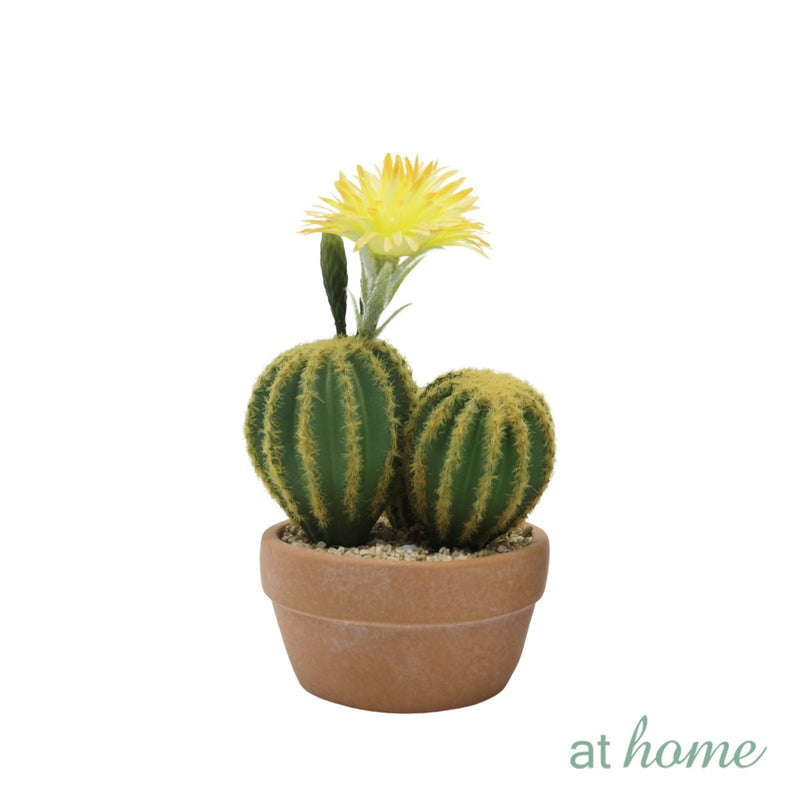 Harper Cactus Artificial Plant