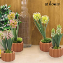 Haven and Harlow Decorative Plant