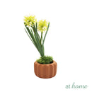 Haven and Harlow Decorative Plant