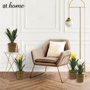 Hana and Hendrix Bromeliad Decorative Plant