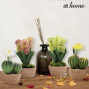 Hallie and Harper Hyacinth or Cactus Artificial Plant