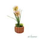 Haven and Harlow Decorative Plant