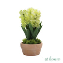 Hallie and Harper Hyacinth or Cactus Artificial Plant