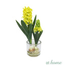 Haize Hyacinth Decorative Plant
