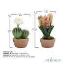 Hallie and Harper Hyacinth or Cactus Artificial Plant