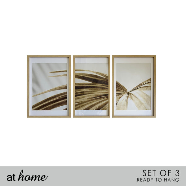 Ray Of Gold Nordic Wall Frame Set of 3