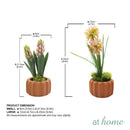 Haven and Harlow Decorative Plant