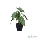 At Home 1pc Jayla/Jael Nordic Artificial Rubber Tree Potted Plant Home Décor Garden Accessories