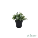 At Home 1pc Jenissa/Jeni Nordic Artificial Rubber Tree Ceramic Pot Home Décor Garden Accessories