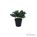 At Home 1pc Jenissa/Jeni Nordic Artificial Rubber Tree Ceramic Pot Home Décor Garden Accessories