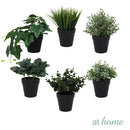 At Home 1pc Jenissa/Jeni Nordic Artificial Rubber Tree Ceramic Pot Home Décor Garden Accessories