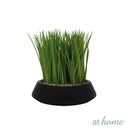 At Home 1pc Jolie Nordic Artificial Rubber Tree Plant Ceramic Pot Home Décor Garden Accessories