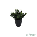 At Home 1pc Jenissa/Jeni Nordic Artificial Rubber Tree Ceramic Pot Home Décor Garden Accessories