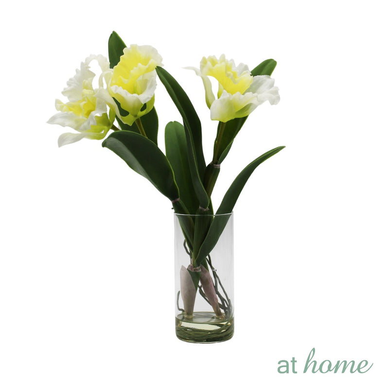 AT HOME Artificial Glass Potted Plant 1pc Hazona – Nordic Home Office Decoration, For Tabletop Shelf