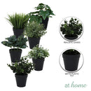 At Home 1pc Jenissa/Jeni Nordic Artificial Rubber Tree Ceramic Pot Home Décor Garden Accessories