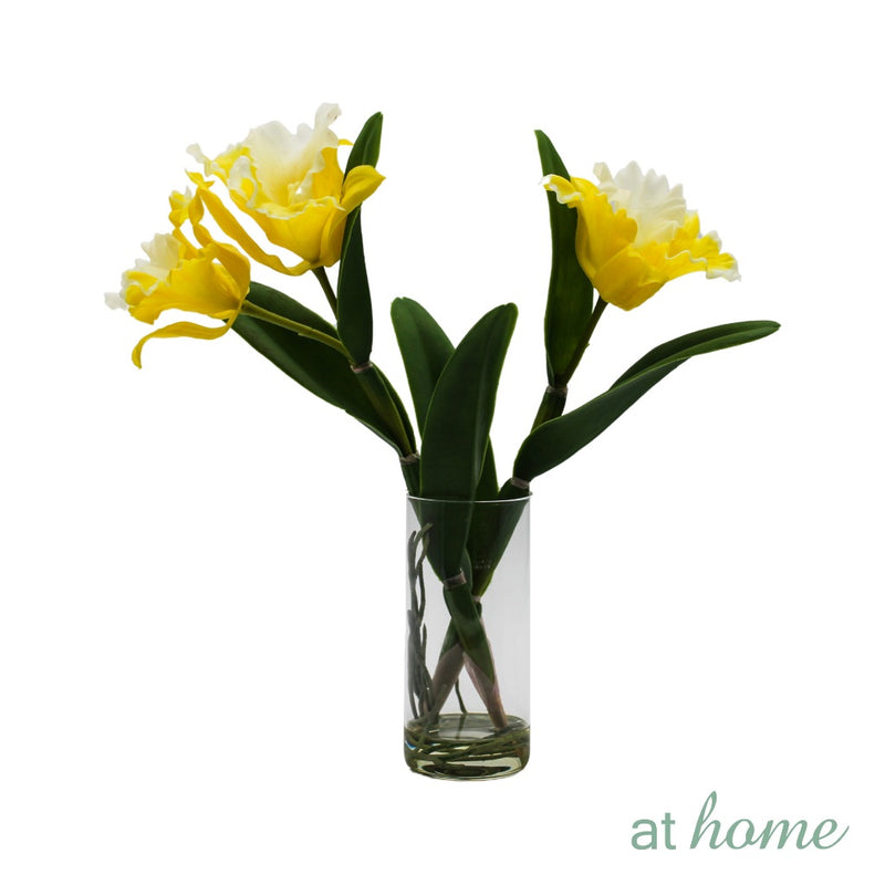 AT HOME Artificial Glass Potted Plant 1pc Hazona – Nordic Home Office Decoration, For Tabletop Shelf