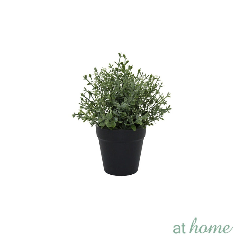 At Home 1pc Jenissa/Jeni Nordic Artificial Rubber Tree Ceramic Pot Home Décor Garden Accessories