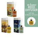 AT HOME Reed Diffuser Whistle Oil Based 120ml Home Fragrance For Cozy Home Decor, Office, Hotel, Spa