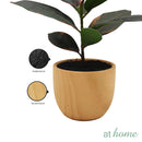 Charlie Artificial Potted Plant