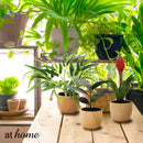 Charlie Artificial Potted Plant