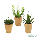 Chi Succulent Artificial Potted Plant