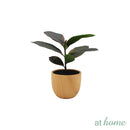 Charlie Artificial Potted Plant