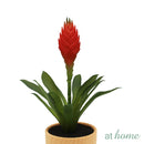 Charlie Artificial Potted Plant