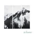 Set of 3 Peak & Pines Canvas Wall Art