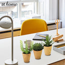 Chi Succulent Artificial Potted Plant