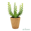 Chi Succulent Artificial Potted Plant