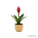 Charlie Artificial Potted Plant