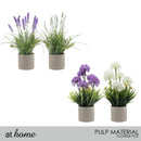 At Home Xylina Lavender and Xavienna Dandelion Flower Potted Plant Home Office, Living Room Décor