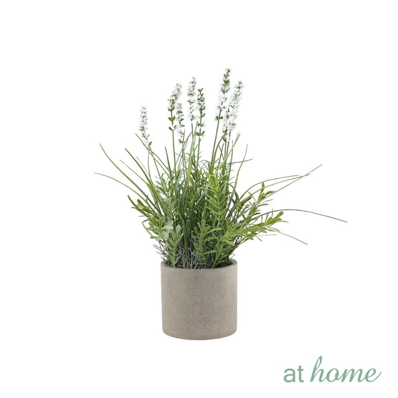 At Home Xylina Lavender and Xavienna Dandelion Flower Potted Plant Home Office, Living Room Décor