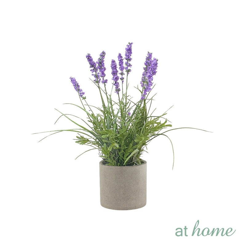 At Home Xylina Lavender and Xavienna Dandelion Flower Potted Plant Home Office, Living Room Décor