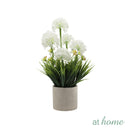 At Home Xylina Lavender and Xavienna Dandelion Flower Potted Plant Home Office, Living Room Décor