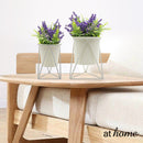 [SALE] Grace Metal Planter w/ Pot and Geometric Base