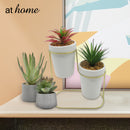 Daria 2pcs Artificial Plant With Metal Stand - Sunstreet