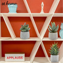 Echeveria Artificial Plant with Pot - Sunstreet