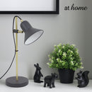 Harry Metal Desk Lamp - Sunstreet