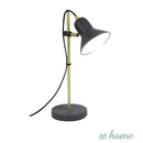 Harry Metal Desk Lamp - Sunstreet