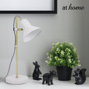 Harry Metal Desk Lamp - Sunstreet