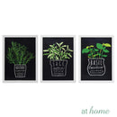 Herbs Framed Wall Art - Sunstreet