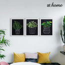 Herbs Framed Wall Art - Sunstreet