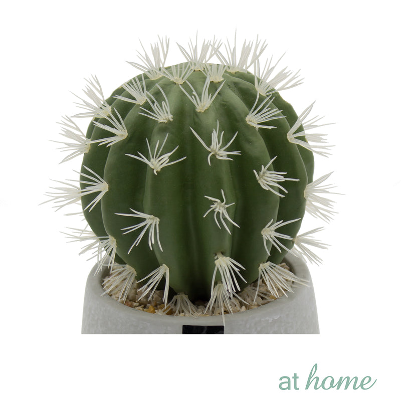 Cactus Artificial Plant with Pot - Sunstreet